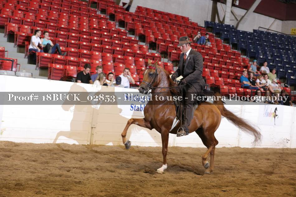 Proof 18BUCK_02853