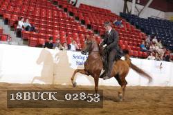 18BUCK_02853 proof