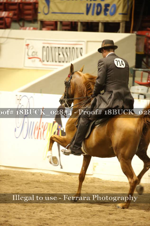 Proof 18BUCK_02854