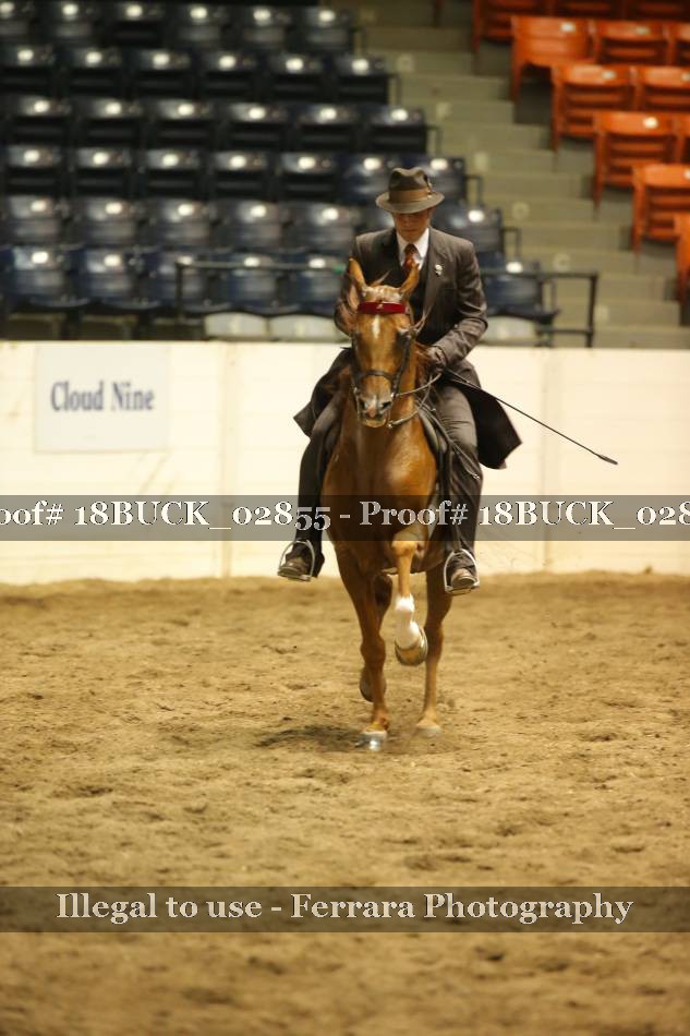 Proof 18BUCK_02855