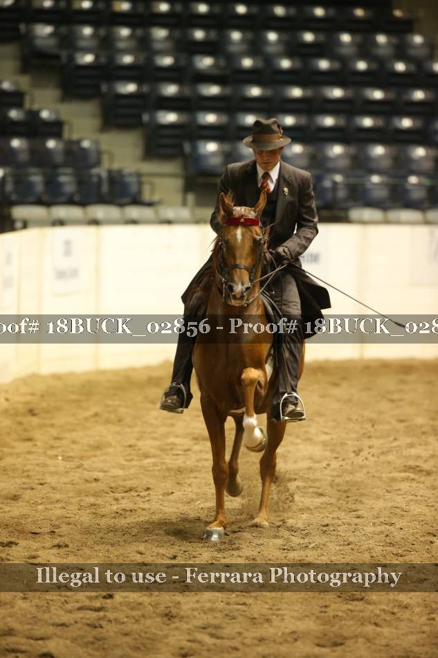 Proof 18BUCK_02856