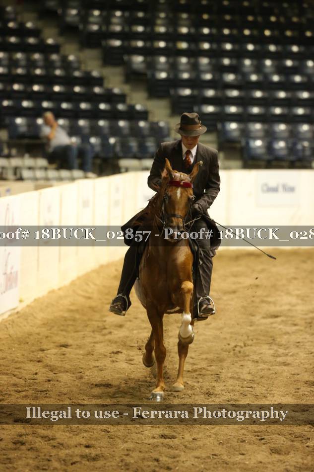 Proof 18BUCK_02857