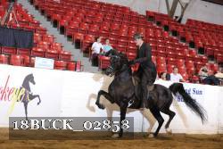 18BUCK_02858 proof