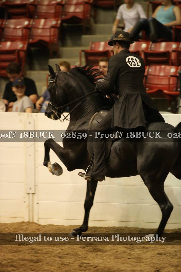 Proof 18BUCK_02859