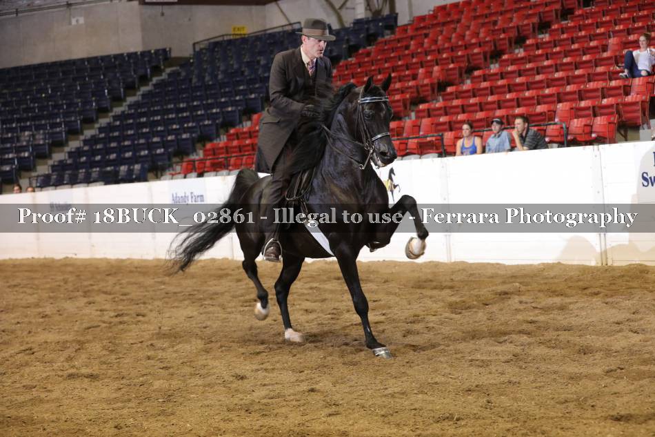 Proof 18BUCK_02861