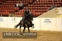 18BUCK_02862 proof