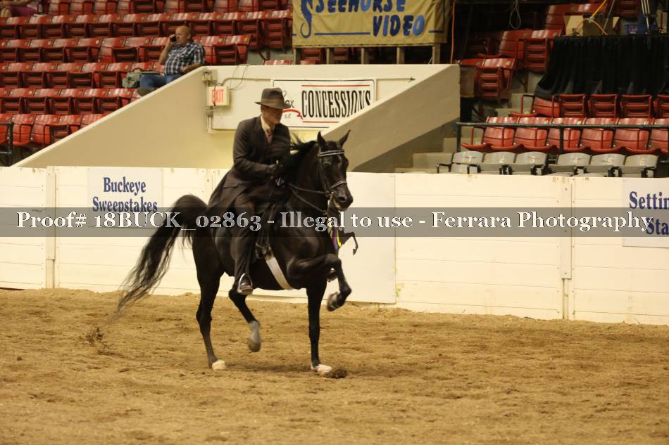 Proof 18BUCK_02863