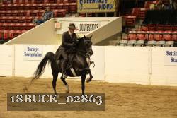 18BUCK_02863 proof