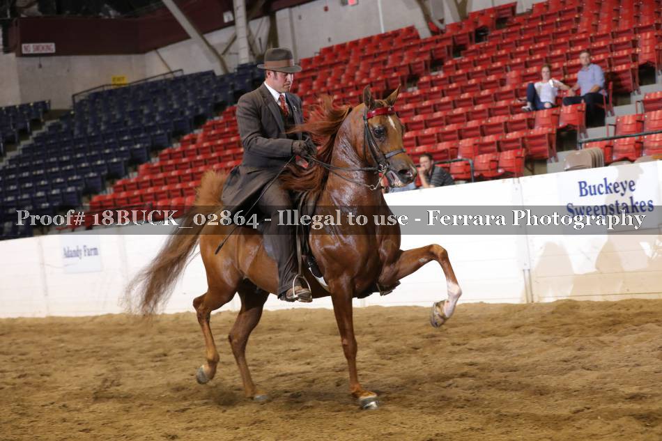 Proof 18BUCK_02864