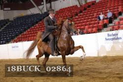 18BUCK_02864 proof