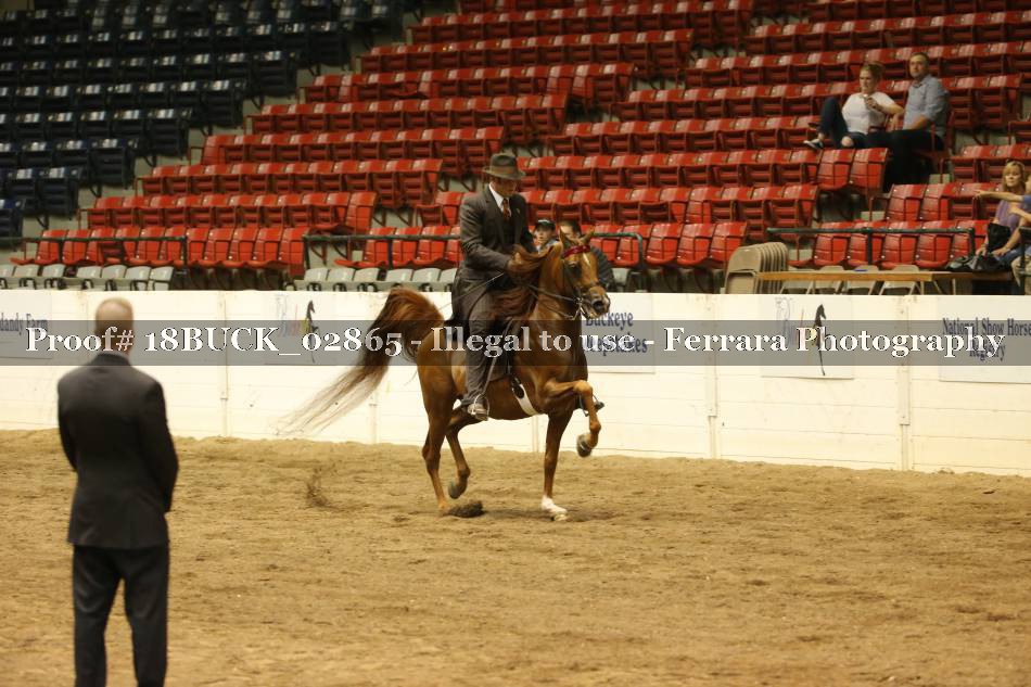 Proof 18BUCK_02865
