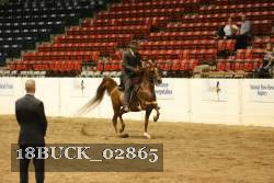 18BUCK_02865 proof