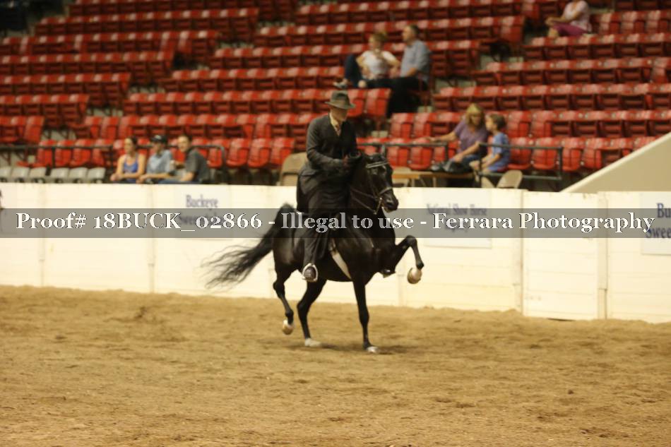 Proof 18BUCK_02866