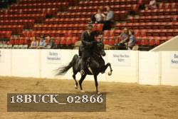 18BUCK_02866 proof