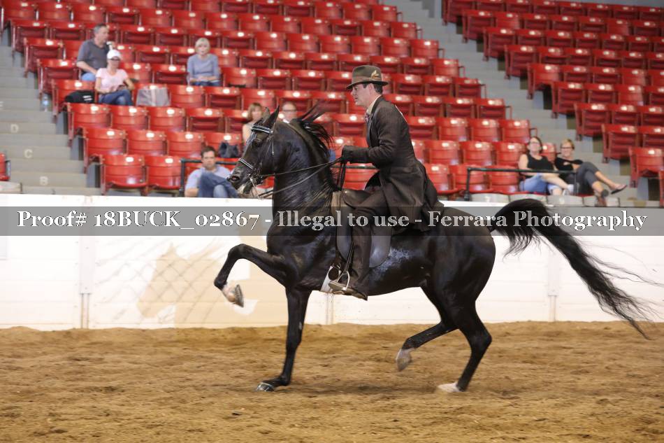 Proof 18BUCK_02867