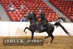 18BUCK_02867 proof