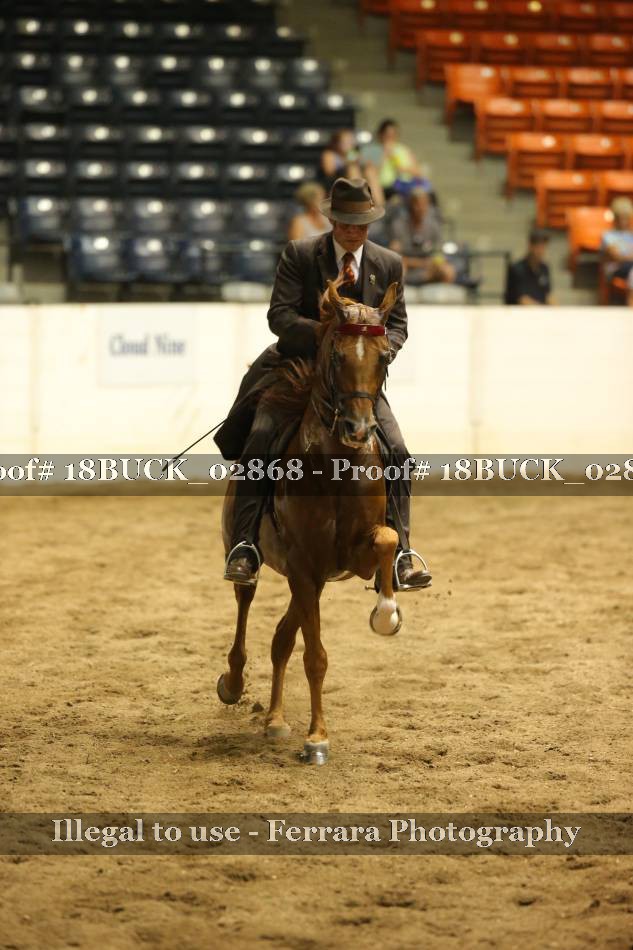 Proof 18BUCK_02868