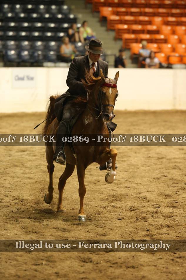 Proof 18BUCK_02869