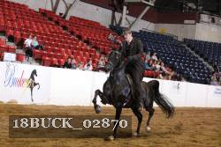 18BUCK_02870 proof