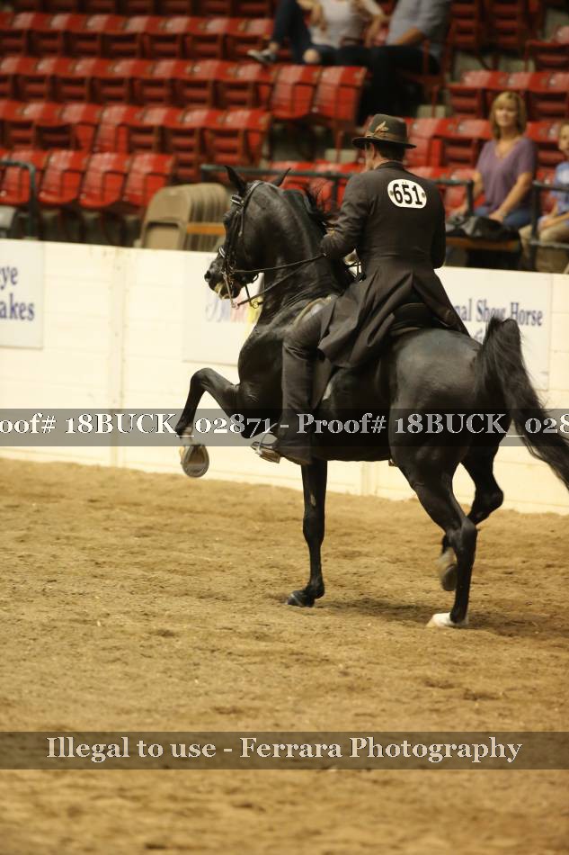 Proof 18BUCK_02871