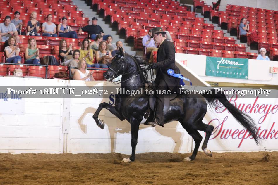 Proof 18BUCK_02872