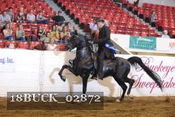 18BUCK_02872 proof