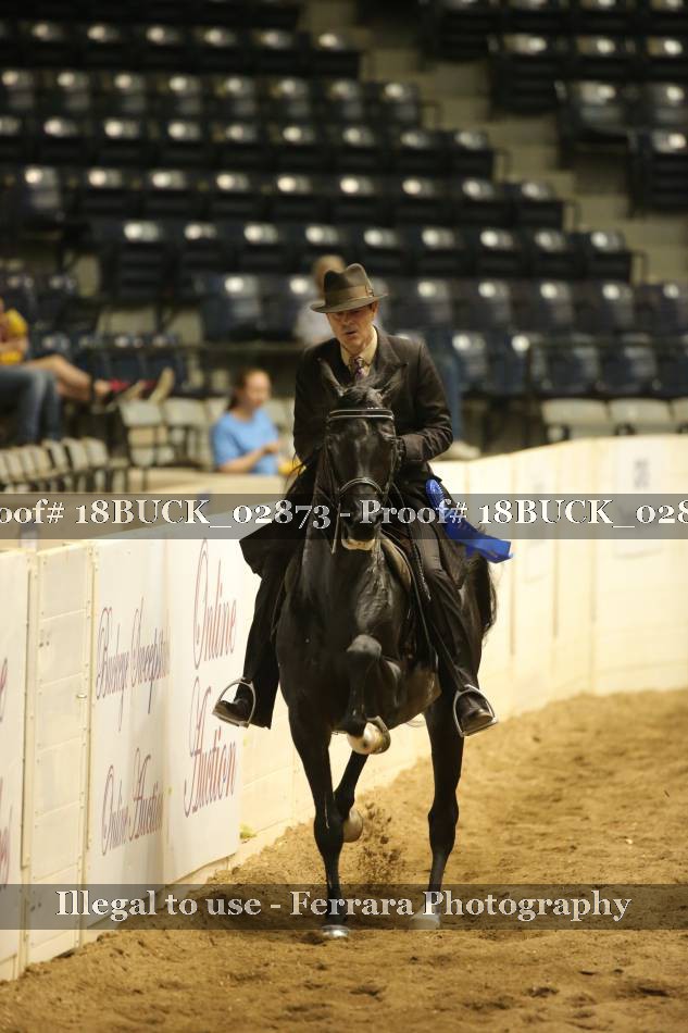 Proof 18BUCK_02873