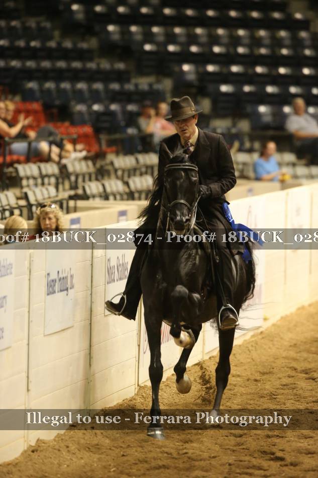 Proof 18BUCK_02874