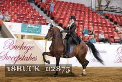 18BUCK_02875 proof