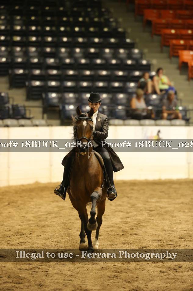 Proof 18BUCK_02876