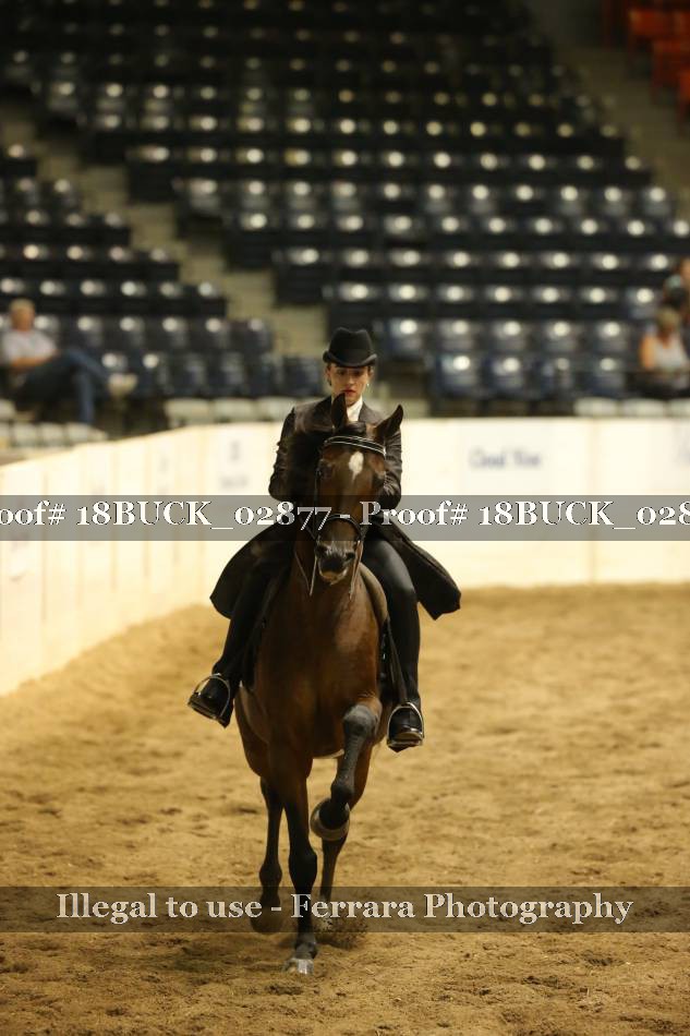 Proof 18BUCK_02877