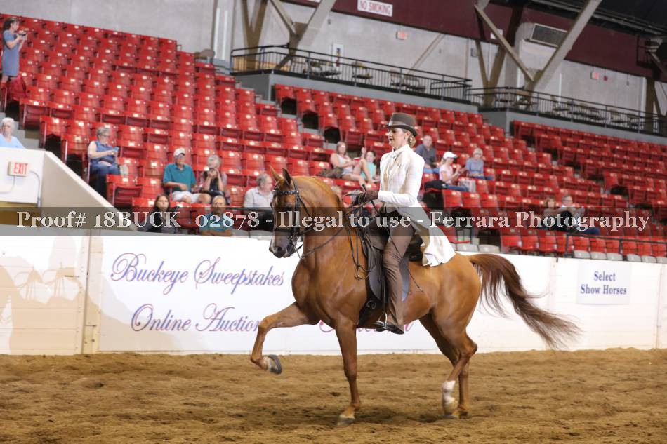 Proof 18BUCK_02878