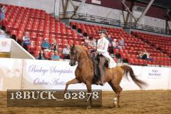 18BUCK_02878 proof