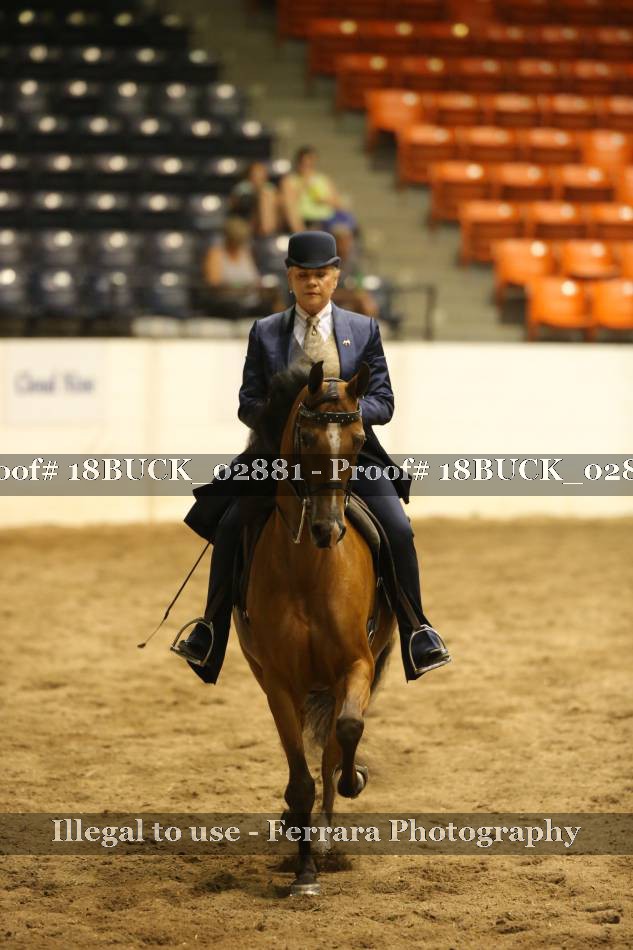 Proof 18BUCK_02881