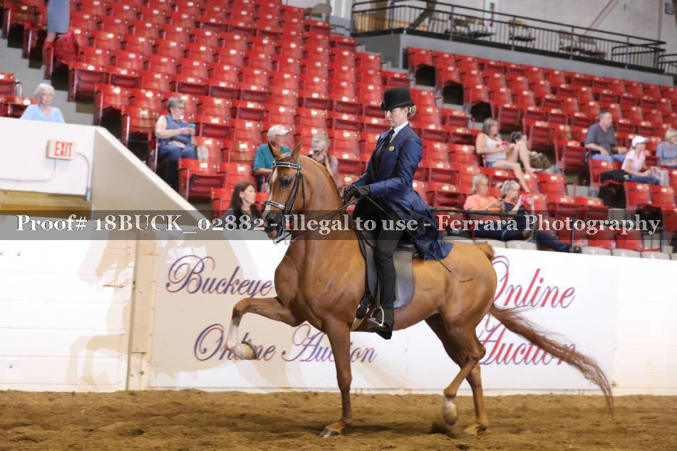 Proof 18BUCK_02882