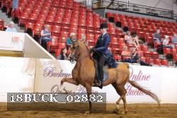 18BUCK_02882 proof