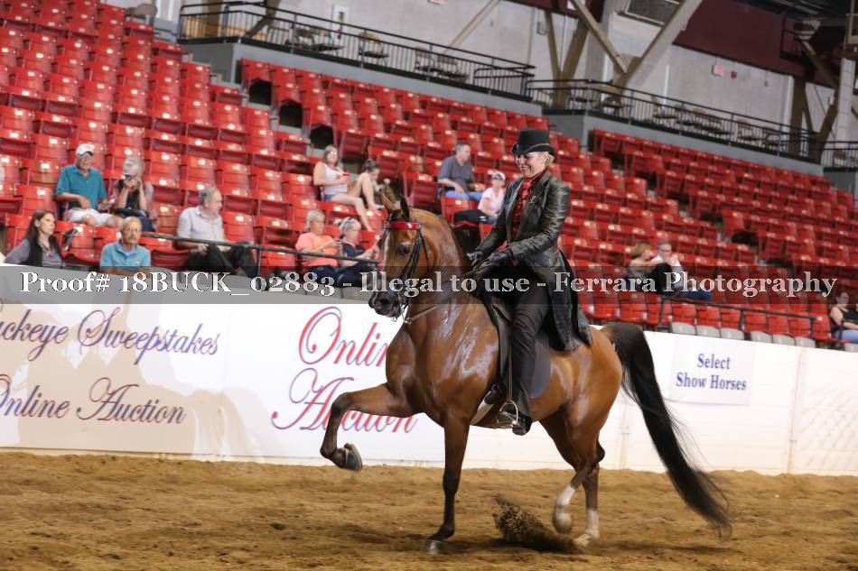 Proof 18BUCK_02883
