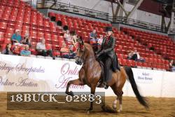 18BUCK_02883 proof