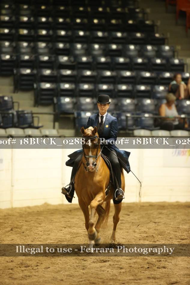 Proof 18BUCK_02884