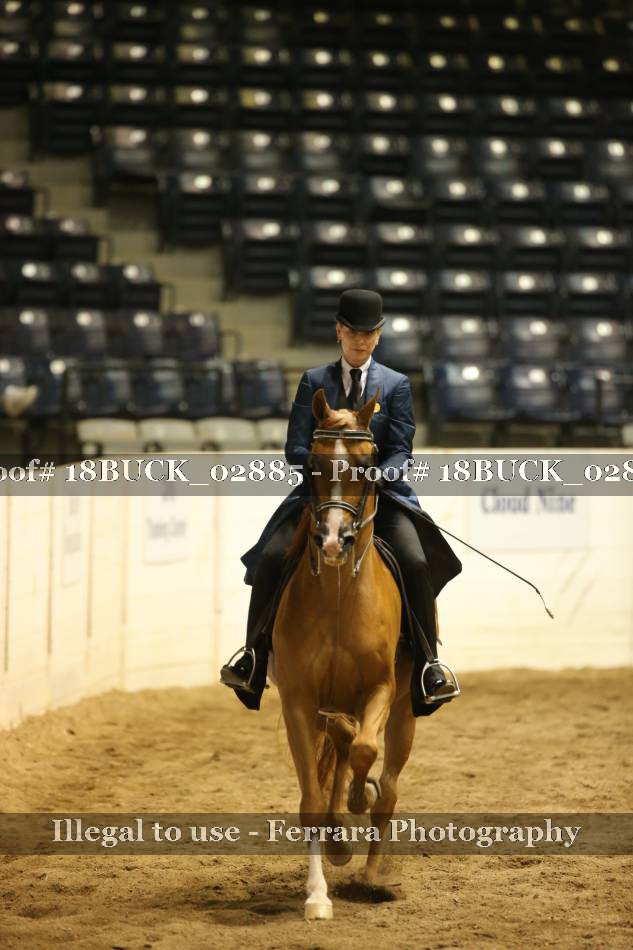Proof 18BUCK_02885