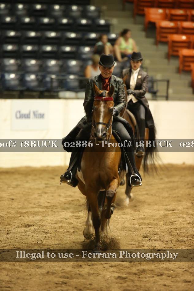 Proof 18BUCK_02886