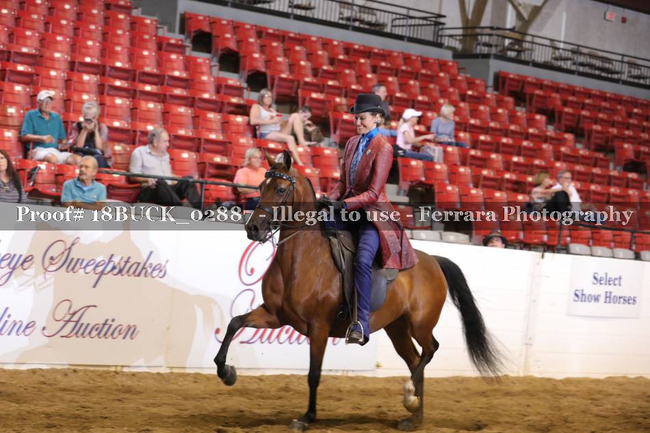 Proof 18BUCK_02887