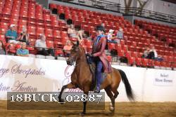 18BUCK_02887 proof