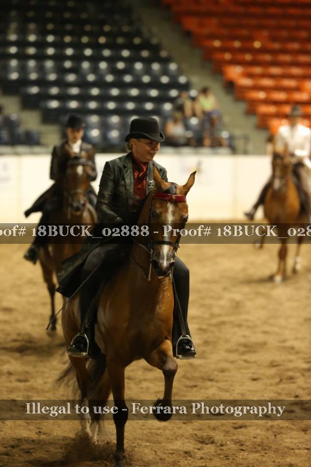 Proof 18BUCK_02888