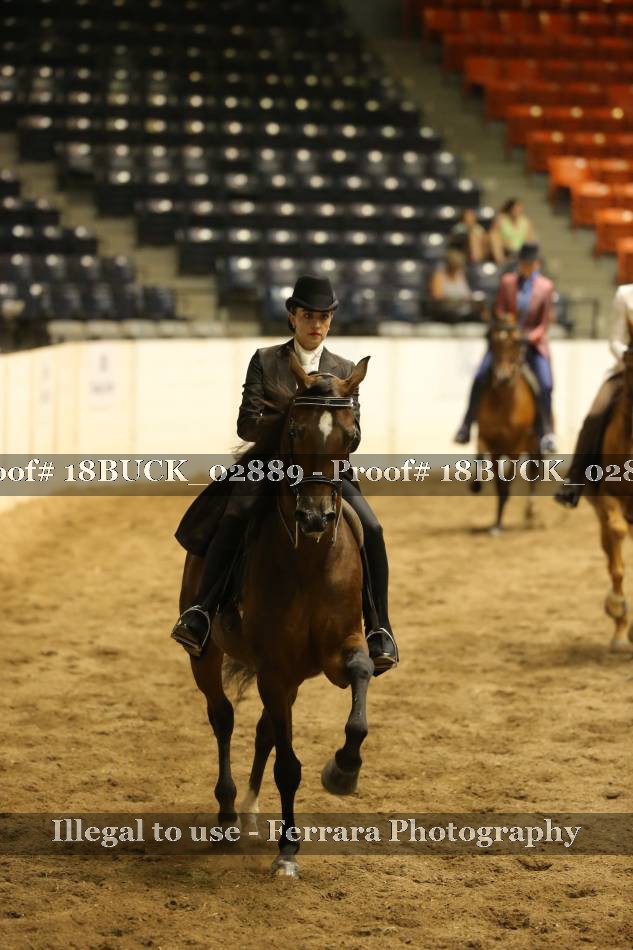 Proof 18BUCK_02889
