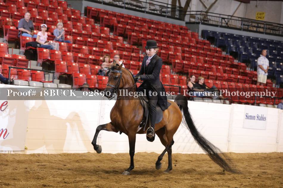 Proof 18BUCK_02890