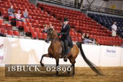18BUCK_02890 proof