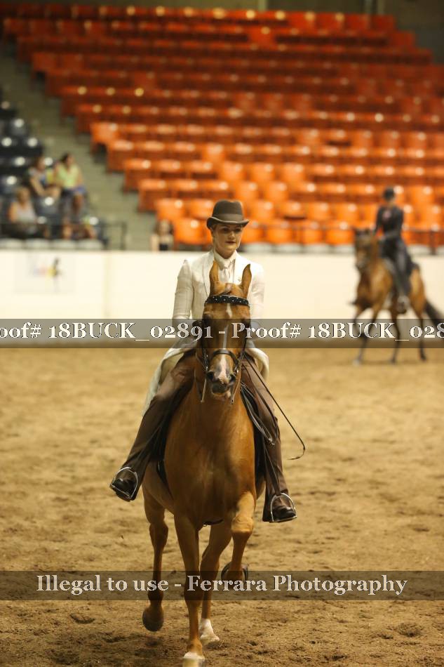 Proof 18BUCK_02891