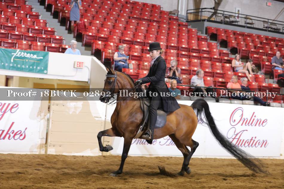 Proof 18BUCK_02892