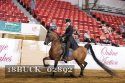 18BUCK_02892 proof